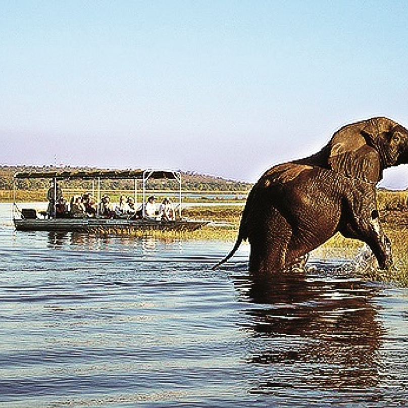 Národní park Chobe, Botswana – největší populace slonů v Africe (až 60 tisíc), profesionálně dělané safari, nejlepší v suché sezoně od června do listopadu.