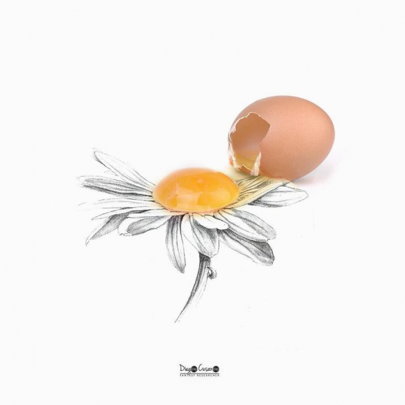 Vajíčko jenom kvete