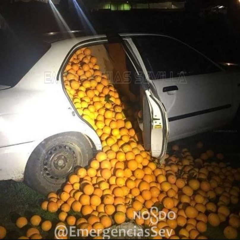 Je zima, imunita se musí posilovat! Ve Španělsku parta lupičů ukradla čtyři tuny pomerančů.