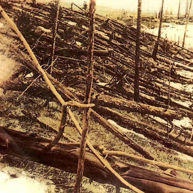 Fotografie z roku 1927 zachycuje zkázu lesa způsobenou výbuchem.