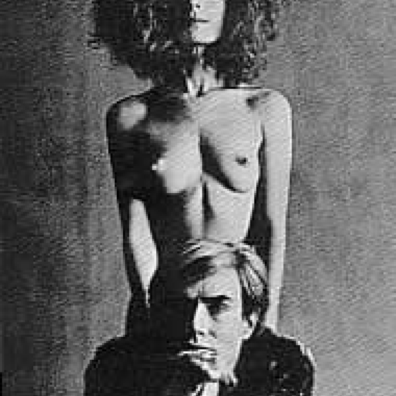 Viva a Warhol