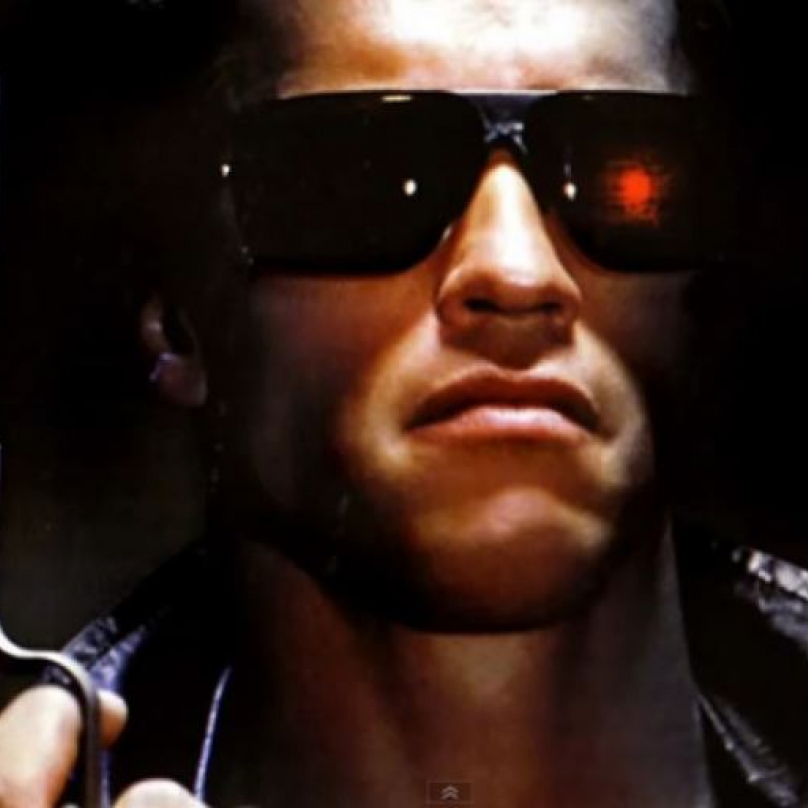 Na svém kontě má Schwarzenegger desítky rolí. Tou nejslavnější nicméně zůstává Terminátor.