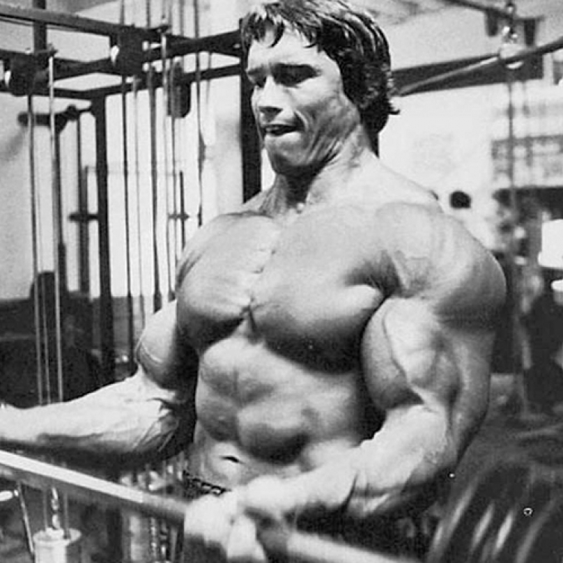 Z pohublého chlapce se stal jednou z největších kulturistických legend. I to je důkazem Schwarzeneggerovy cílevědomosti.