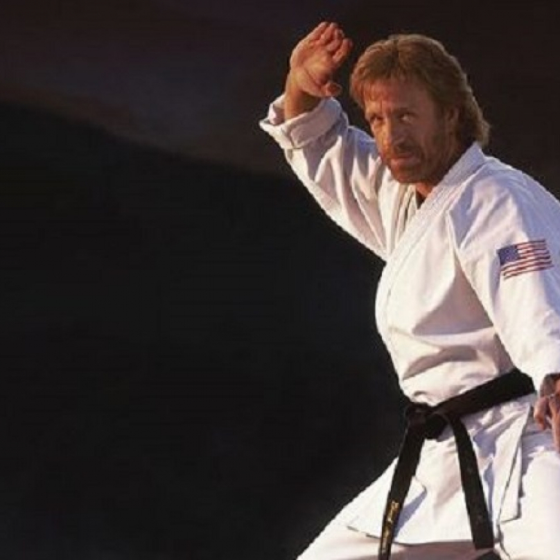 Chuck Norris ovládá hned několik bojových umění a jedno i sám vymyslel. Ve všech má černý pásek.