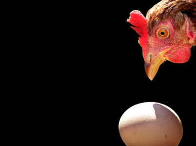 Tři vědci vynesli ve starodávné otázce svůj verdikt.