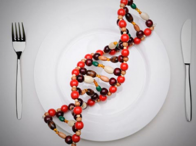 Všichni jíme "cizí" DNA rostlin a zvířat, každý den, miliony let. Proč by nám tedy mělo škodit pojídání geneticky pozměněné DNA?