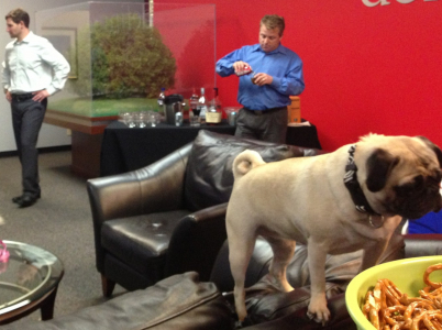 Všechno mu prý dovolíte, špatně ho krmíte, neumí prý poslouchat... Je snad váš pes dítě?