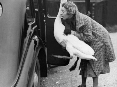 Neboj se maličká, dám tě do autosedačky a všechno bude v pořádku.