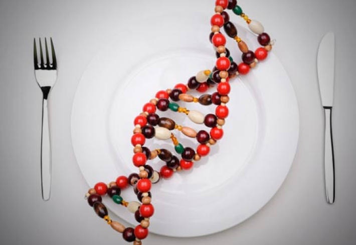 Všichni jíme "cizí" DNA rostlin a zvířat, každý den, miliony let. Proč by nám tedy mělo škodit pojídání geneticky pozměněné DNA?