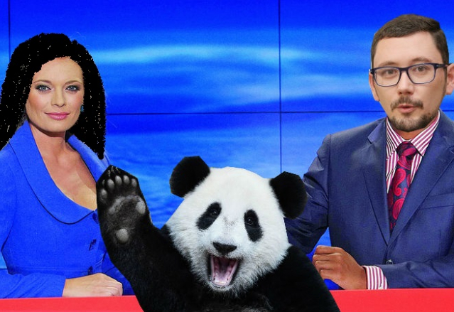 TV Nova pod čínským vedením, to znamená černovlasou Borhyovou, Ovčáčka místo Korantenga a hodně pand.
