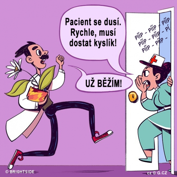 4. Přírodní medicína