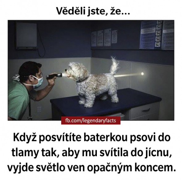 10. Když natočíte nejdelší osten ježka tak, aby...