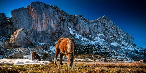 Pohoří Picos de Europa – Štíty Evropy