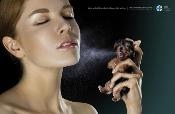 5) STOP testování kosmetiky na zvířatech