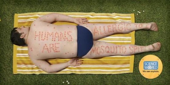 9) Lidé jsou na komáří bodnutí alergičtí