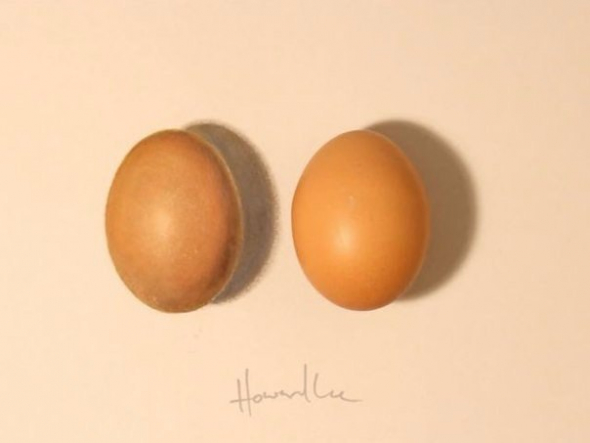 5. Jako vejce vejci