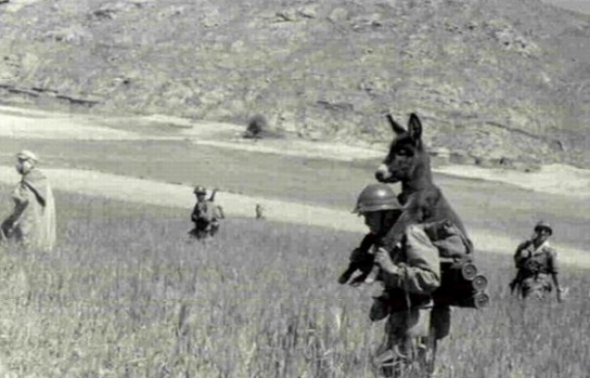 4. Není čas na vysvětlování! Zachraňujeme osla, rok 1940. 