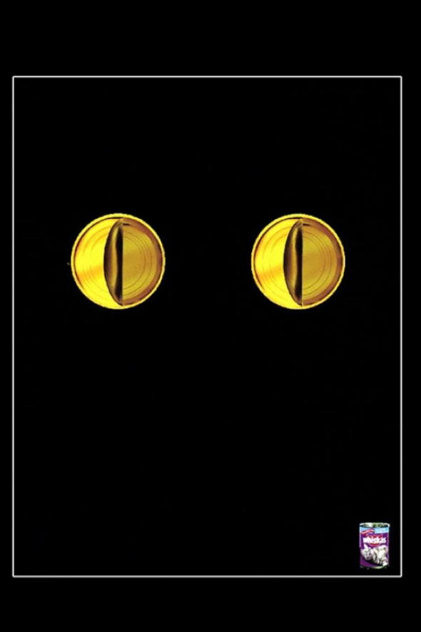 7. Kočičí oči x konzervy s kočičím žrádlem
