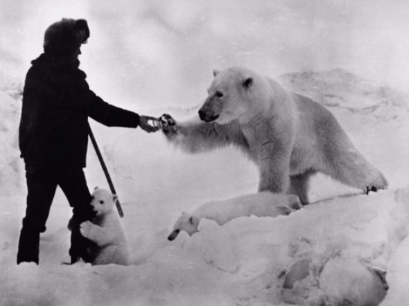 1. Polárník podává lednímu medvědovi plechovku kondenzovaného mléka, SSSR, 1980