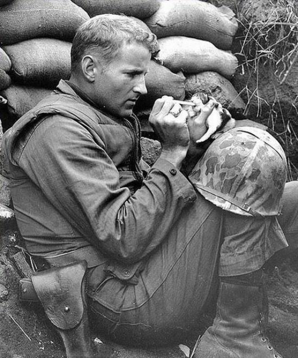 2) Seržant Frank Praytor krmí dvoutýdenní kotě během korejské války.