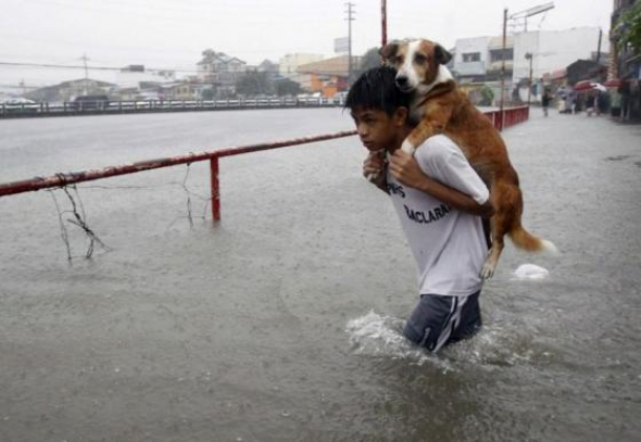 3) Chlapec zachraňuje svého pejska během záplav ve Filipínách.