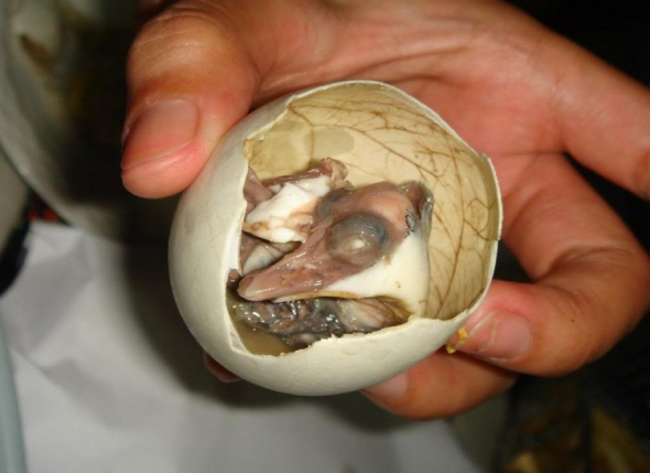 1. Balut