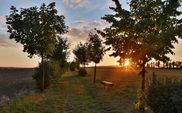 9. Alej ke Svatému Floriánu, Hrotovice, 200 hlasů