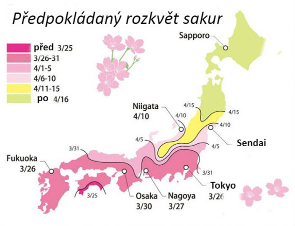 Mapa sakur v Japonsku