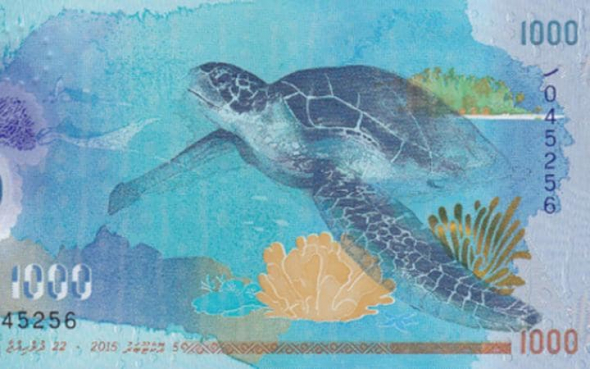 Bankovka s hodnotou 1000 maledivských rupií s želvou