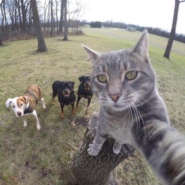 4# Pojďte sem všichni, dáme selfie!