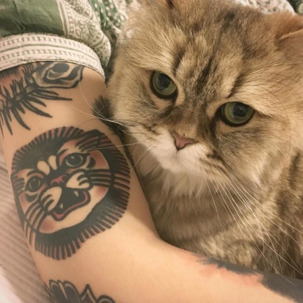 Vtipné tetovaní kočičky