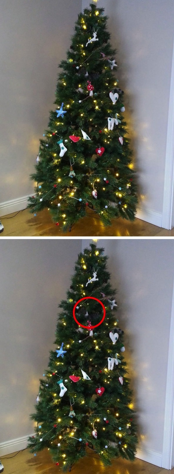 Opravdu dobře ukrytá kočka ve vánočním stromečku