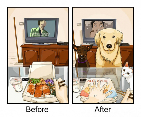 Pamatujete si, kdy jste se naposledy v klidu najedli bez toho loudivého pohledu vašeho psa?
