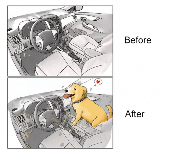 Převážení psa v autě není moc lahůdka, všude jen chlupy a obtisky ťapek...