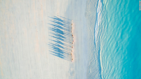 Pochod velbloudů na Cable Beach v západní Austrálii