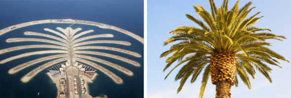 Umělé ostrovy Palm Islands v Dubaji