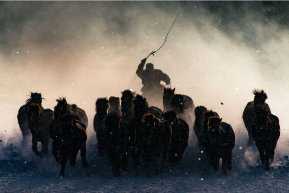 Výherce Grand Prize: Zimní jezdec na koni, Mongolsko