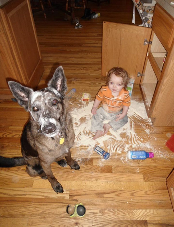 2# Z dítěte a psa se stanou kriminální parťáci