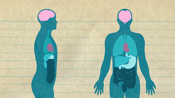 9. Naše tělo ve skutečnosti ve tmě září, avšak světlo, které vyzařuje, je tisíckrát slabší než to, které oči ještě dokážou vnímat.