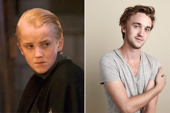 Tom Felton alias Draco Malfoy