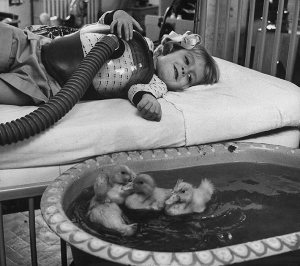 9. Zvířata byla používána jako součást terapie (1956)