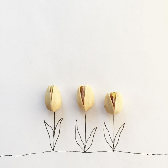 5. Pistáciový tulipán 