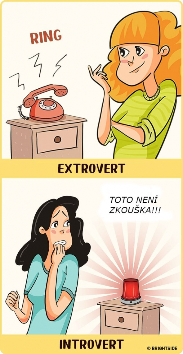 Jak vidí zvonící telefon introvert a jak extrovert?