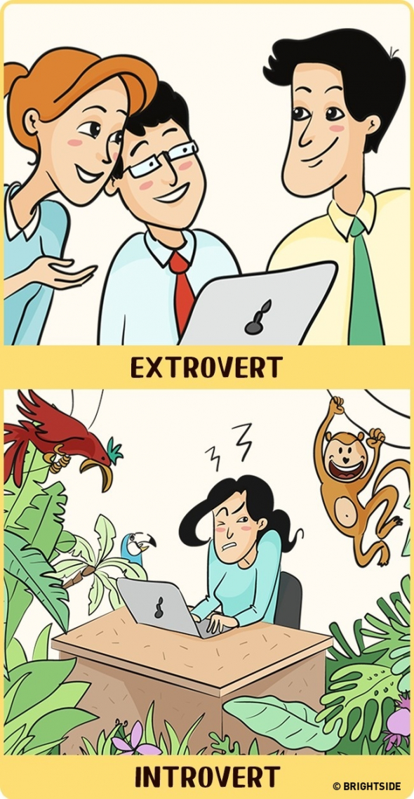 Být v práci na očích ostatních je super pro extroverta, ale introvert si připadá jako v zoo!
