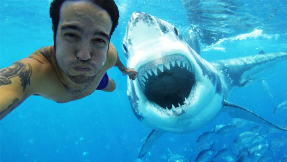 1) První a poslední selfie se žralokem