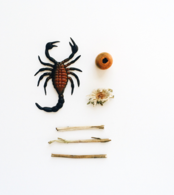 Gumový škorpión, korálek, sušené kvítky a dřívka
