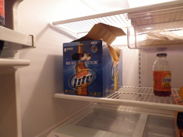 1) V krabice od piva v lednici