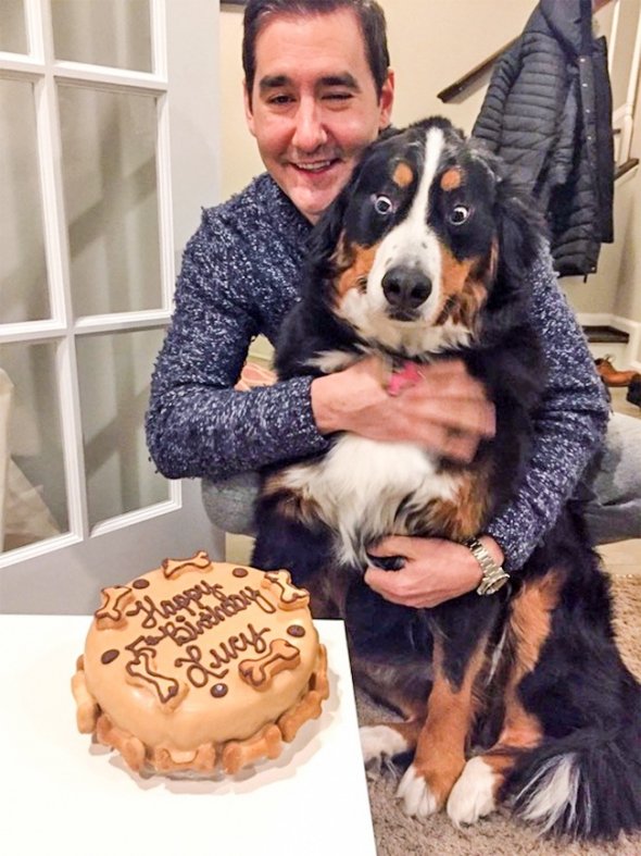 Jak může vypadat pes, když mu k narozeninám objednáte dort? Asi to moc nechápe...