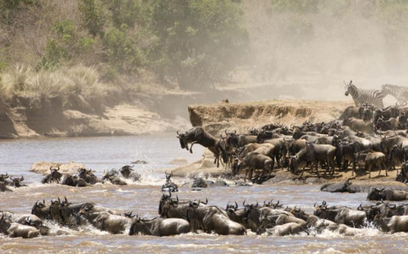 Být svědkem velké migrace v Serengeti