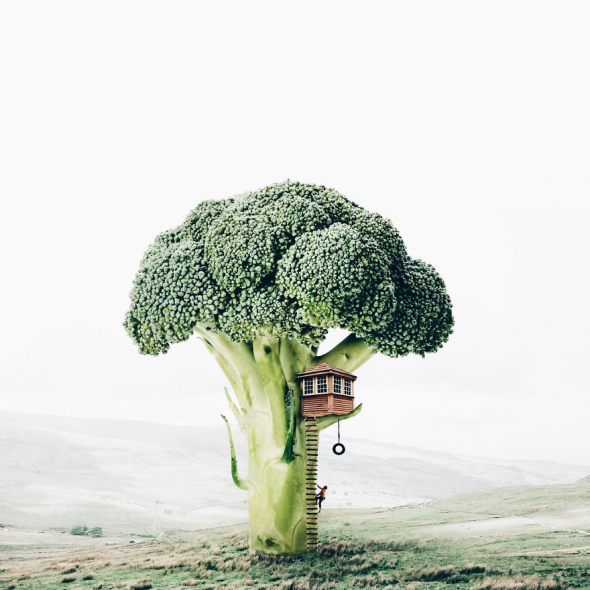 Brokolicový bunkr je cool! Všimli jste si někdy, že brokolice tak trochu opravdu připomíná strom?